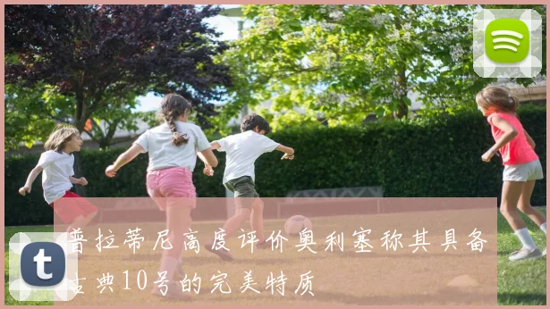 普拉蒂尼高度评价奥利塞称其具备古典10号的完美特质