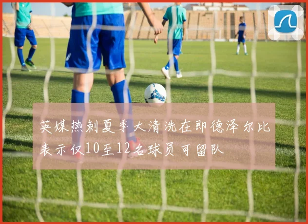 英媒热刺夏季大清洗在即德泽尔比表示仅10至12名球员可留队